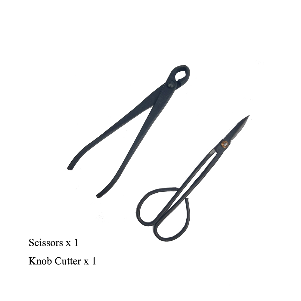 Juego de Herramientas para bonsái, Kit de tijeras de corte extensivo para poda de jardín, herramientas de estilismo para bonsái, 2/3/4/5/6 piezas: Blanco