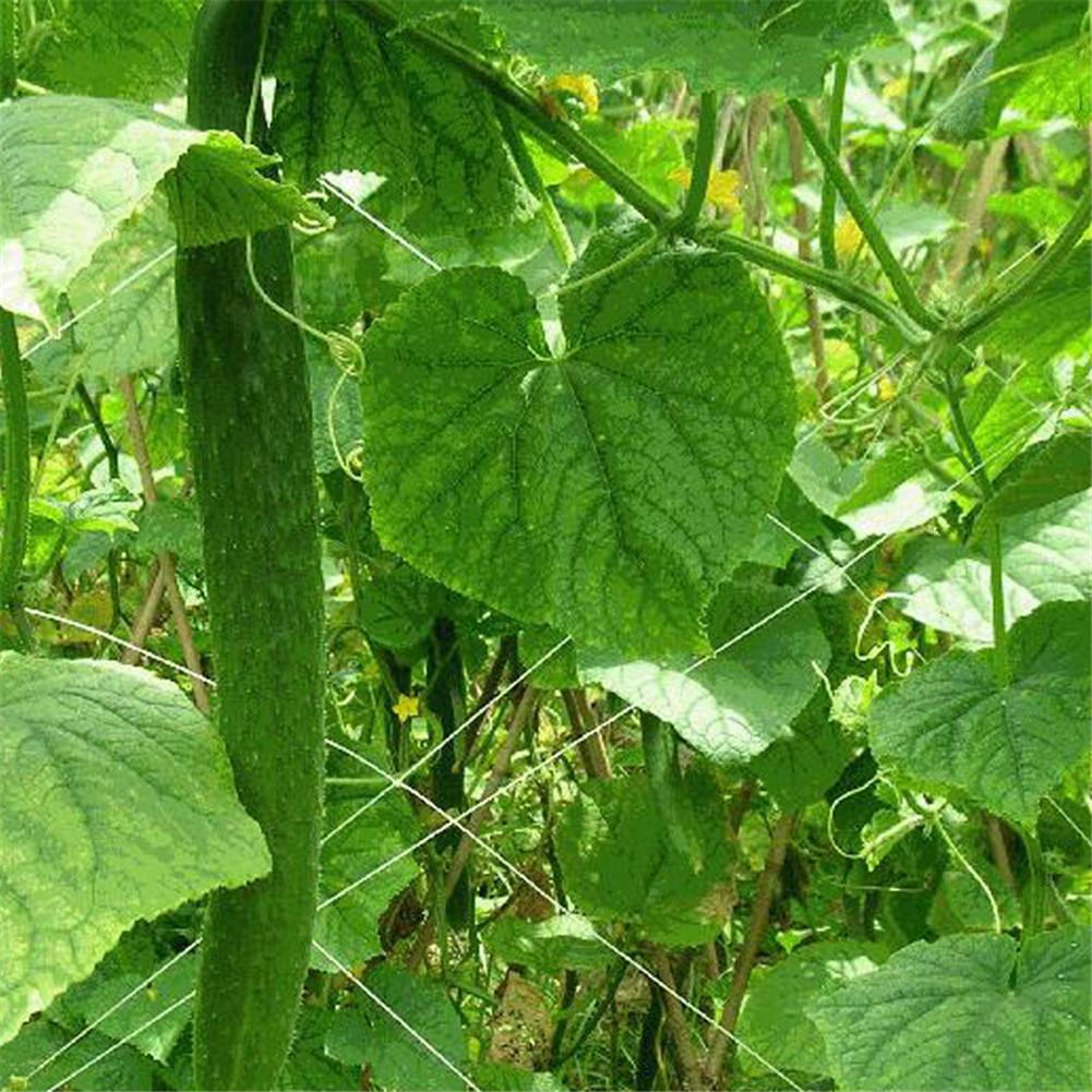 Polyester Plant Trellis Netting Strong Support Space Saving Plant Climbing Net Gardening Tool