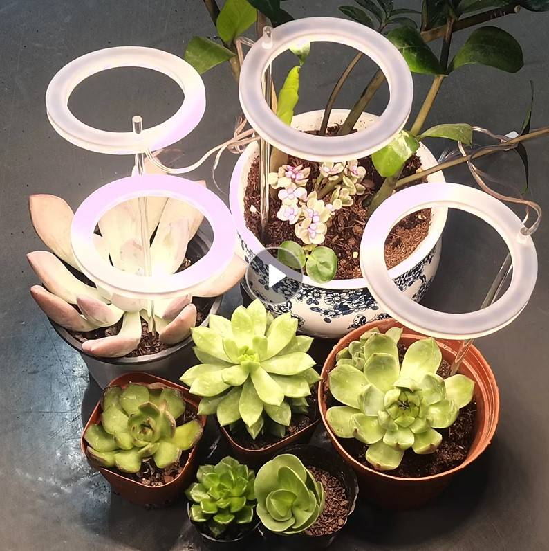 Luz LED de espectro completo para cultivo de plantas, lámpara Phyto Grow, USB, 5V, iluminación para crecimiento de plantas de interior