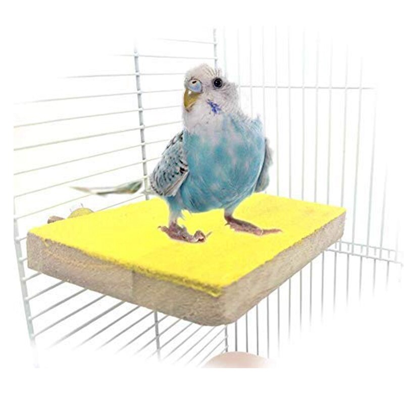 Vogelkooi op poot - Kooi kopen? | Korting tot Vogelkooi op poot - Kooi kopen? | Korting tot