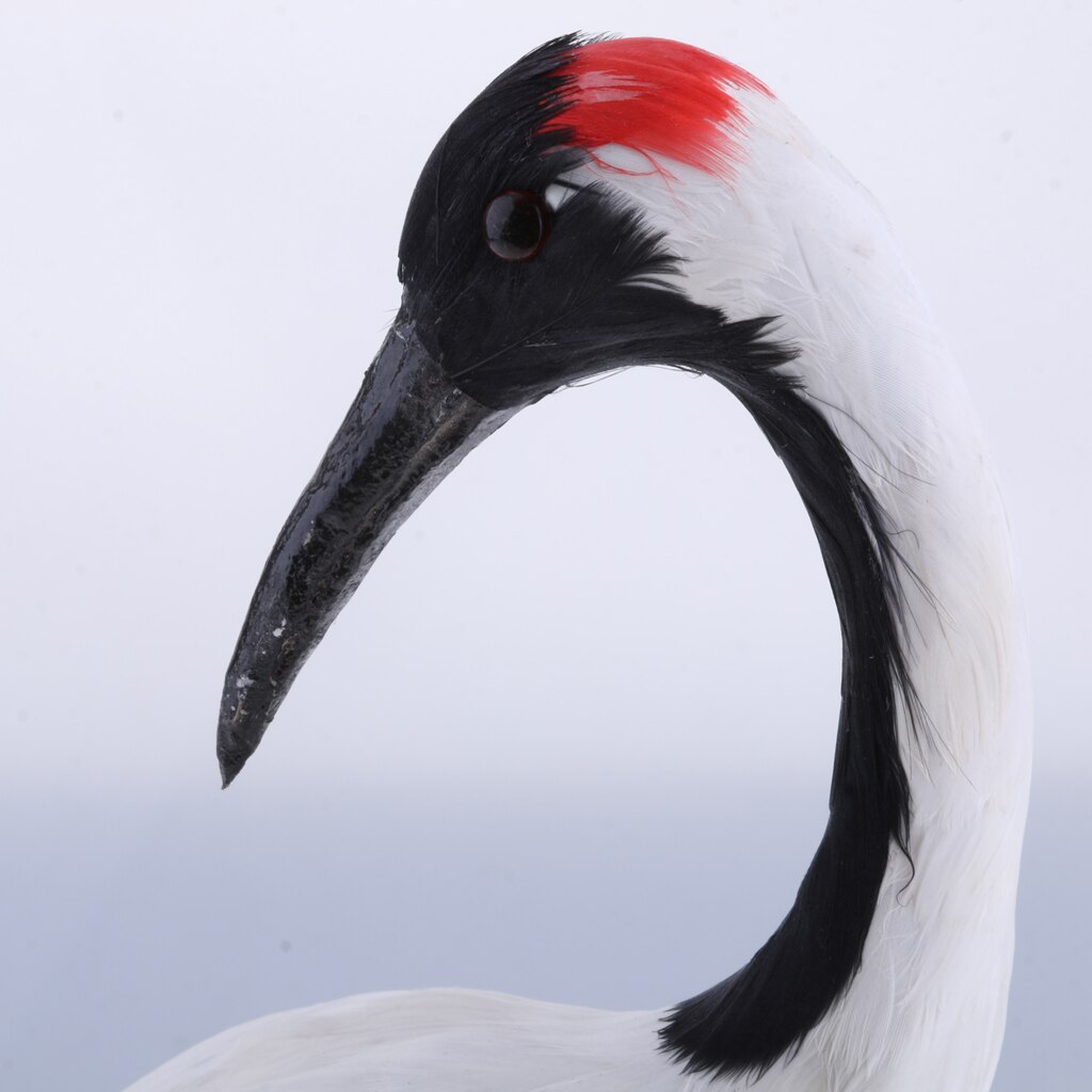 Realistic Magpie Peacock Bird Figurine Garden Ornaments Decor: Red-crowned Crane