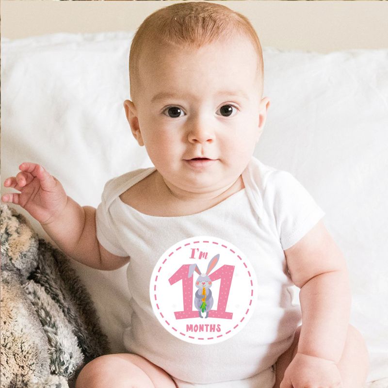 12 baby mijlpaal stickers maandelijkse foto foto rekwisieten voor jongen of meisje baby rompertje , 1st jaar maanden buik sticker