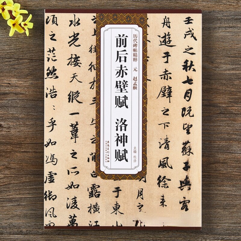 Tao Te Ching Schriften Zhao Mengfu Klein Normaal Script Borstel Kalligrafie Schrift Ouyang Xun Running Script Kalligrafie Boek