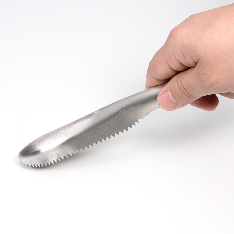 Stainless Steel Fish Scale, Scraper Remover for Fast and Easy Fish Scale Removing 9 Inch