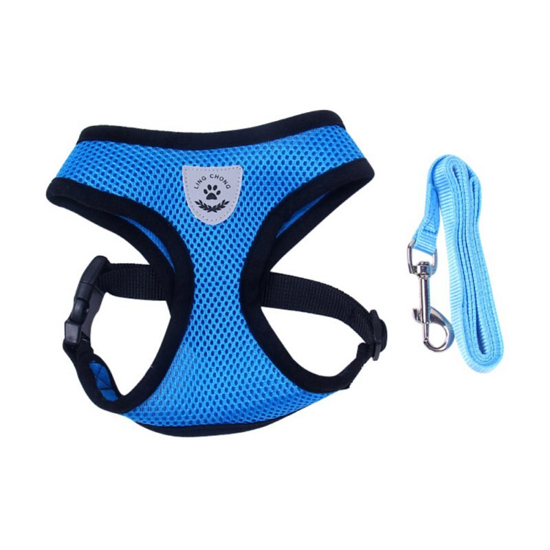 Leuke Kleine Nylon Harnas Hond Kat Pet Harness Set Chihuahua hond Accessoires Hond Lood Pet Shop Supplies Hond kragen