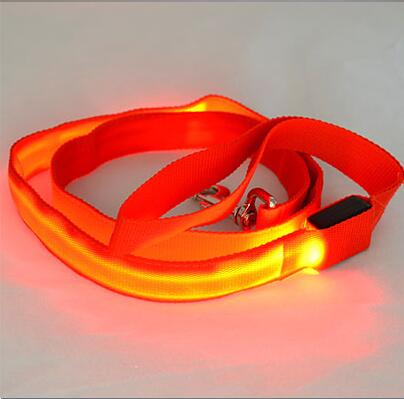 Laisse en Nylon pour chien, sécurité nocturne, LED clignotante dans la nuit, collier pour animaux de compagnie, dessin pour chat, petit gabarit: red / Width 15mm