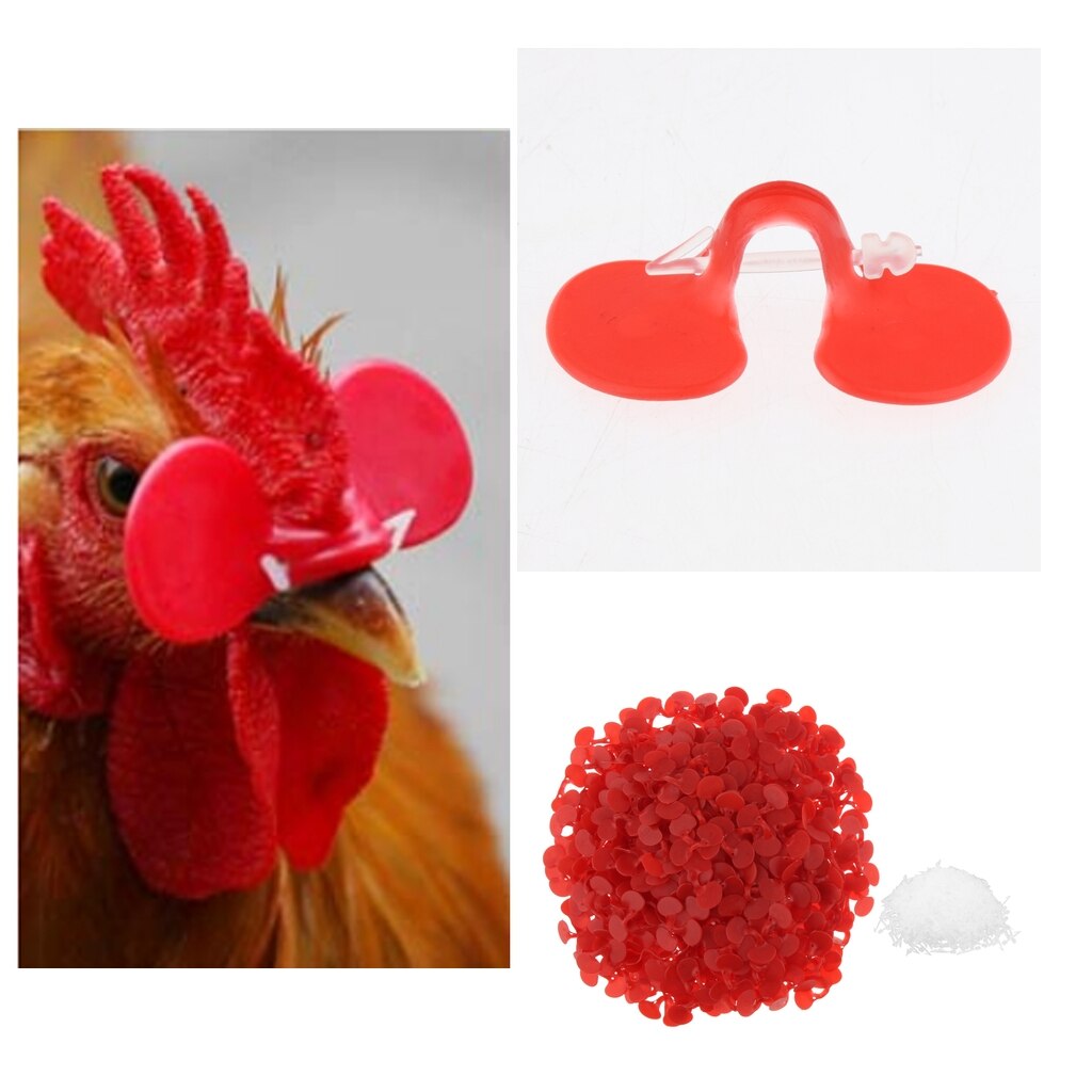 500x Chicken Glasses Chicken Pheasant Anti-pecking Glasses Poultry Supplies