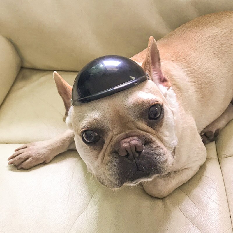 S/M-Cascos anticolisión para perros y gatos, gorra protectora para cachorros, a la , suministros para mascotas