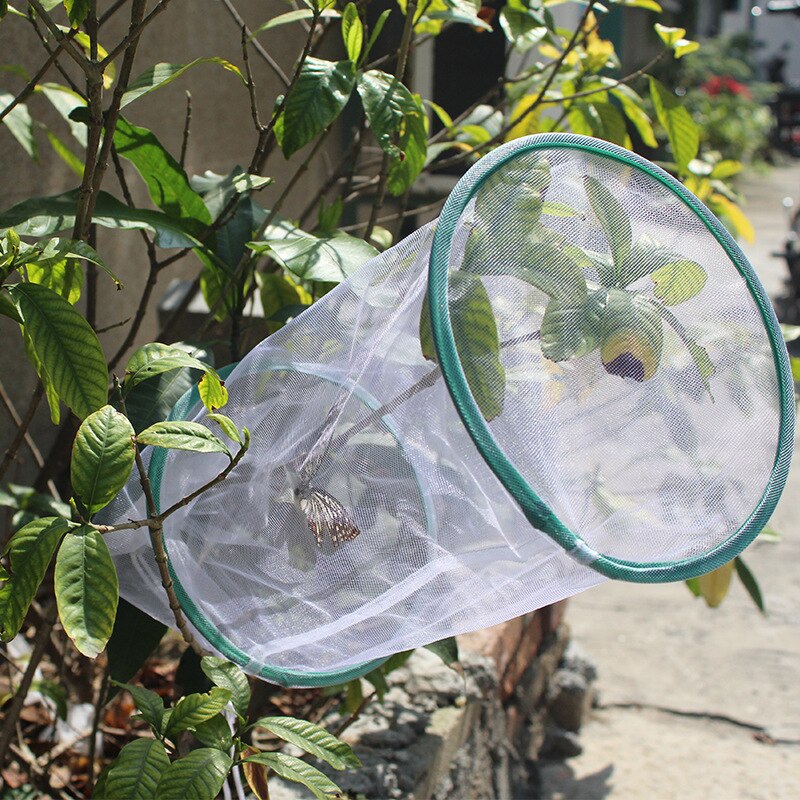 Draagbare Vlinder Kooi Insect Kooi Transparante Opknoping Natuur Observatie Geventileerde Vlinder Habitat Huis Fokken Tool