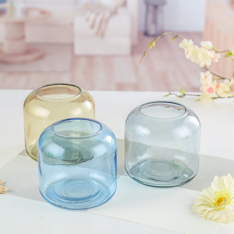 Grote ronde glazen vaas, scandinavisch bureaublad, bloemenhouder voor in water, hipsterbloem, epipremnum aureum decoratie, cha hua pi