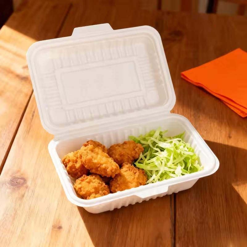 10/20/30 SZT. Jednorazowe Pojemniki na obiad Plastikowe na Sałatki Kanapki robić Przenoszenia Kuchnia Lodówka Restauracja Piknik Pojemnik na Żywność