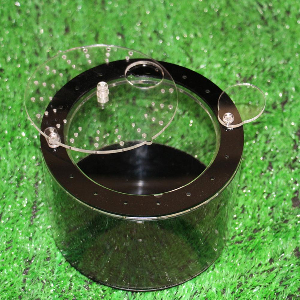 Acrylic Reptile Feeding Box Full View Insect Box Praying Lizard Reptile Home Insect Cage Reptile Terrarium Spider Breeding Box