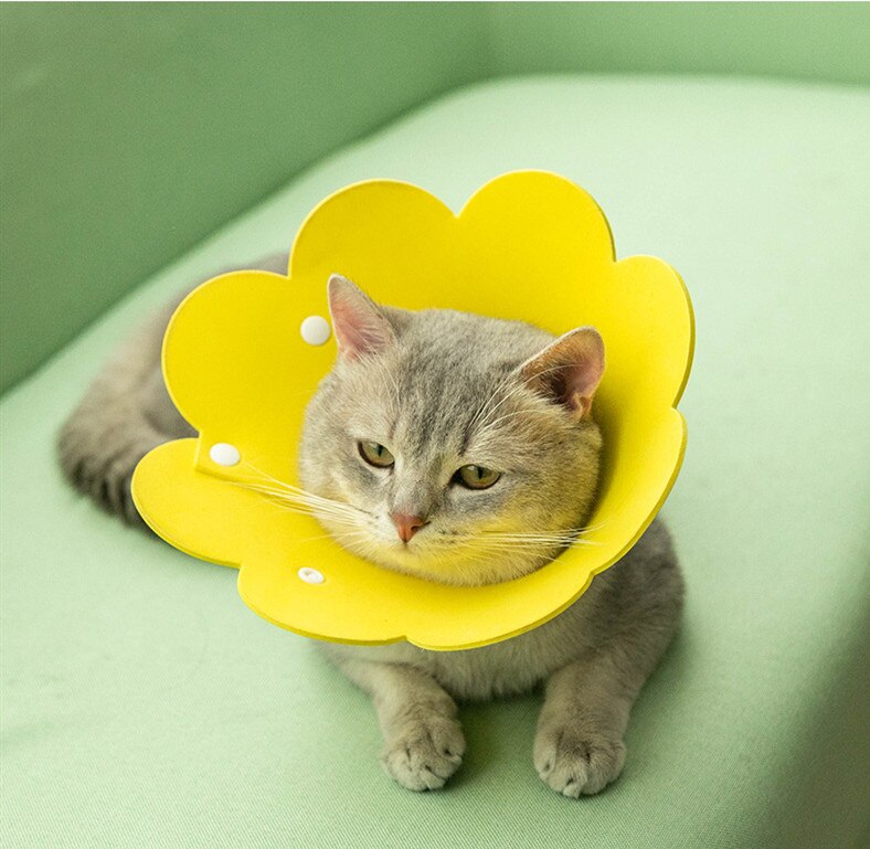 Solblomma form kattvalp hals skyddande cirkel krage anti bett anti grepp anti slickande katt hals elizabethan söt krage