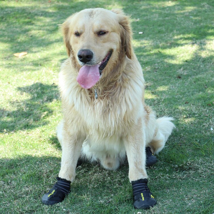 Schoen Voor Hond Vier Seizoenen Puppy Schoenen Niet Schoenen Zachte Bodem Reflecterende Ademend Non-Slip Schoenen Huisdier