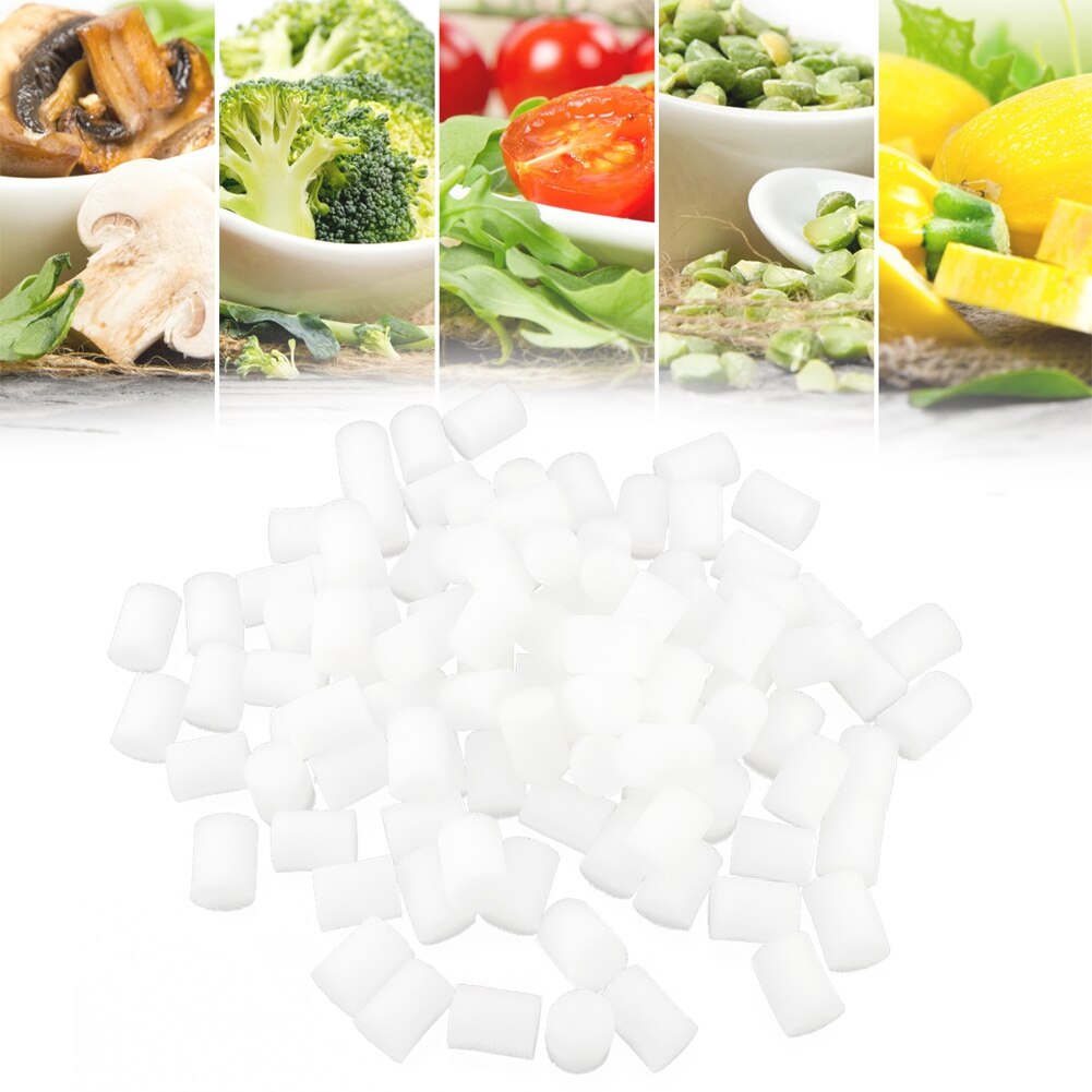 100 Pcs/Set Hydroponic Sponge Planting Gardening Tool Seedling Vegetable Cultivation Sponges Greenhouse 19mmX25mm