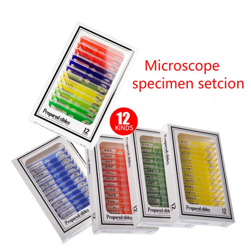 12/48Pcs/Set Prepared Microscope Slides Specimen Animals Insects Plants Flowers Sample