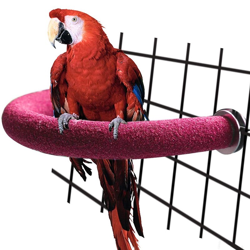 Vogel Baars Voor Parkieten, Papegaai Speelgoed Stands, Benodigdheden Voor Kleine Medium Parkiet