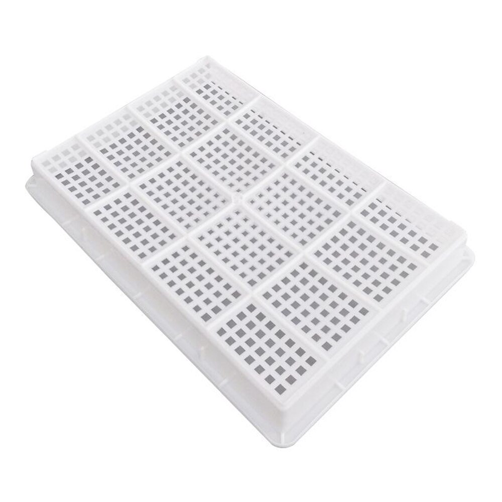 Hydroponic Water culture seedling tray Vegetable Equipment Soilless Cultivation