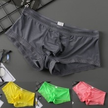 Men&#39;s Sexy Underwear Ice Silk Brief Pantie Low Waist Men Lingerie see through Pant Underpants Tangas Intimate man bottom shorts