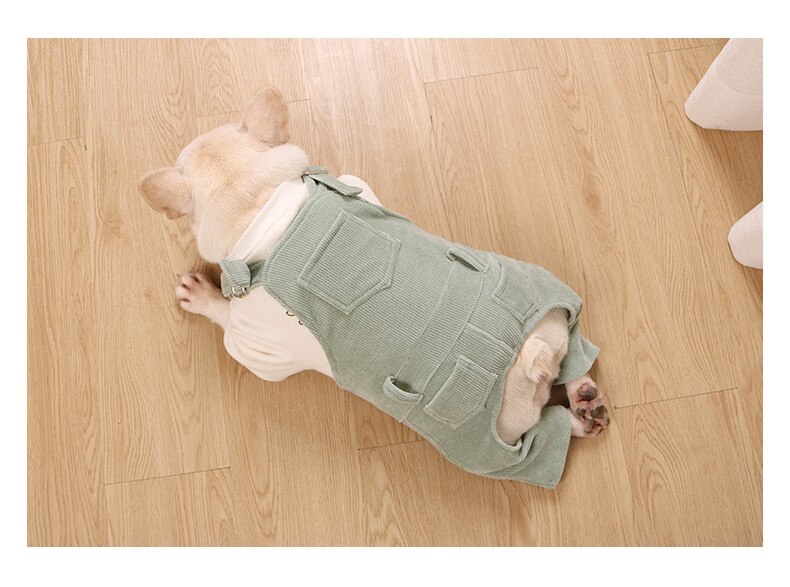 Französisch Bulldogge Overall Haustier Hund 4 beine Warme Kleidung Für Kleine Mittel Welpen Hunde Kleidung Schnauzer LAC02: Grün / XL