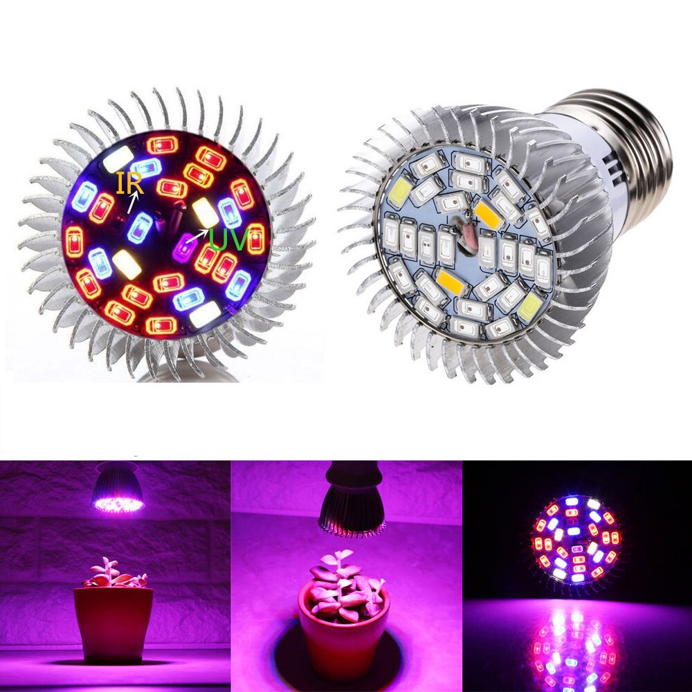 Fitolampy-bombillas de luz Led para cultivo de plantas de espectro completo, lámpara Fito para plantas, invernadero, verduras, jardín de interior, caja de tienda para cultivo de flores