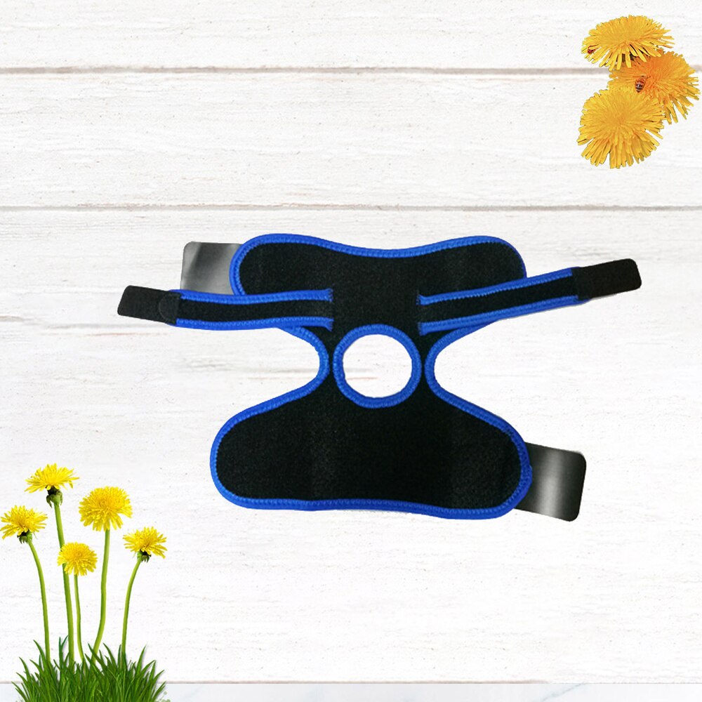 1Pc Breathable Ankle Guard Sports Ankle Pad Portable Ankle Brace Practical Ankle Support Sports Accessories for Men Exercise Blu: Default Title