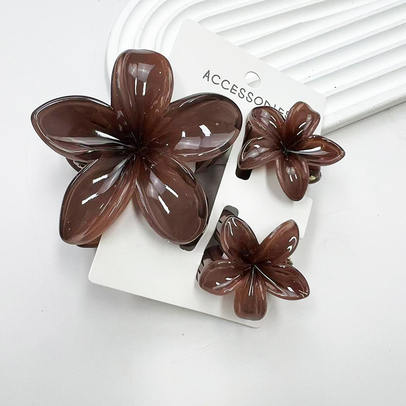 3 unids/set dulce flor colroful gradiente garras para el cabello Cola de Caballo Cip abrazadera pasadores horquillas para mujeres chica accesorios para el cabello de playa: Champán