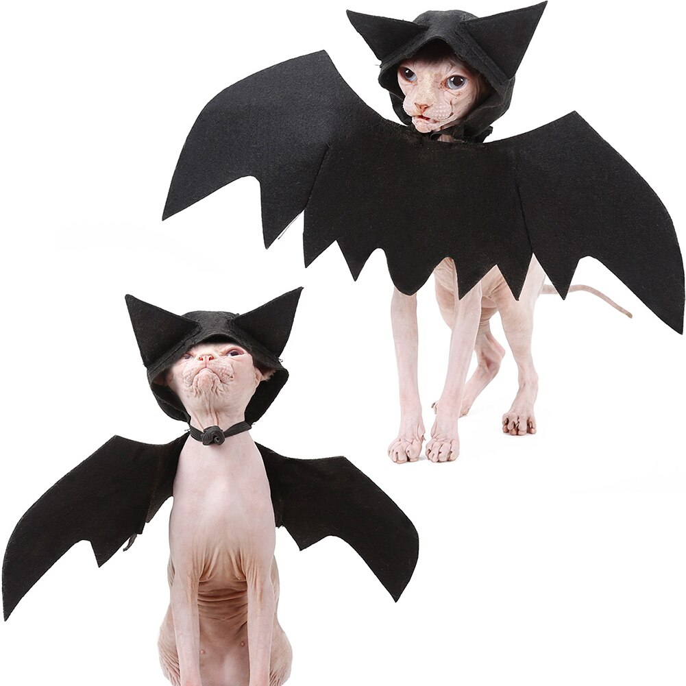 Godt sundt dyr kæledyr hund kat flagermus vinge med hætte halloween fancy dress kostume outfit filt klud sort