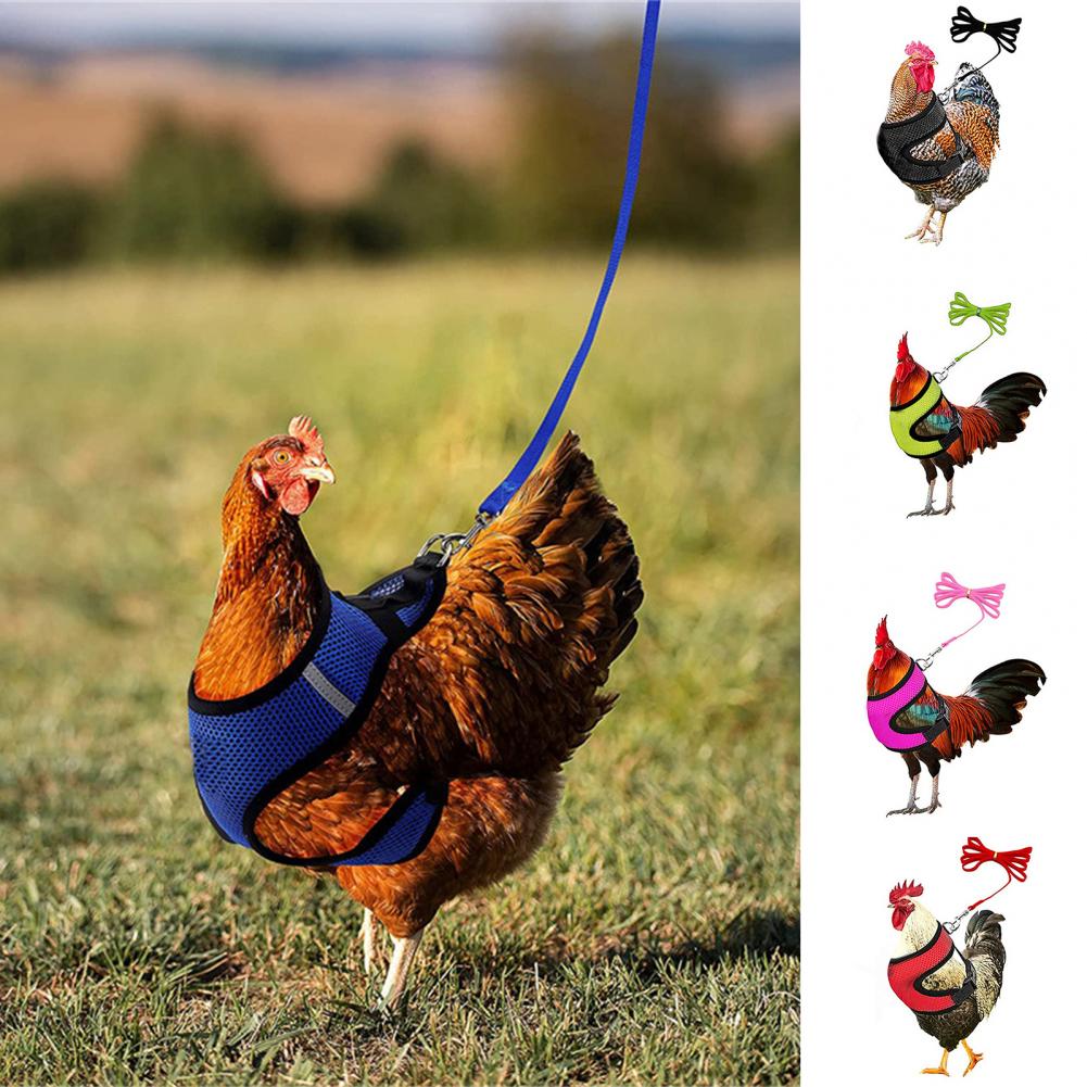 1 Set Chicken Harness Stylish Adjustable Mesh Chicken Duck Poultry Vest Poultry Supplies Duck Leash Chicken Vest