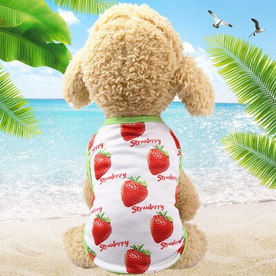 Leuke Zomer Hond Vest Kleding Banaan Fruit Patroon Puppy Hond Katten T-shirt Vest Sweatshirt Mesh Huisdieren Kleding DOGGYZSTYLE: strawberry / S