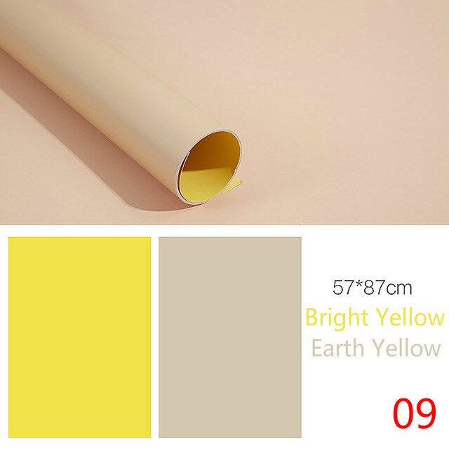 BEIYANG – arrière-plan Morandi 57x87cm, papier de photographie, arrière-plan de photographie, couleur unie, pour Ins, photographie et Studio Photo: Background 09