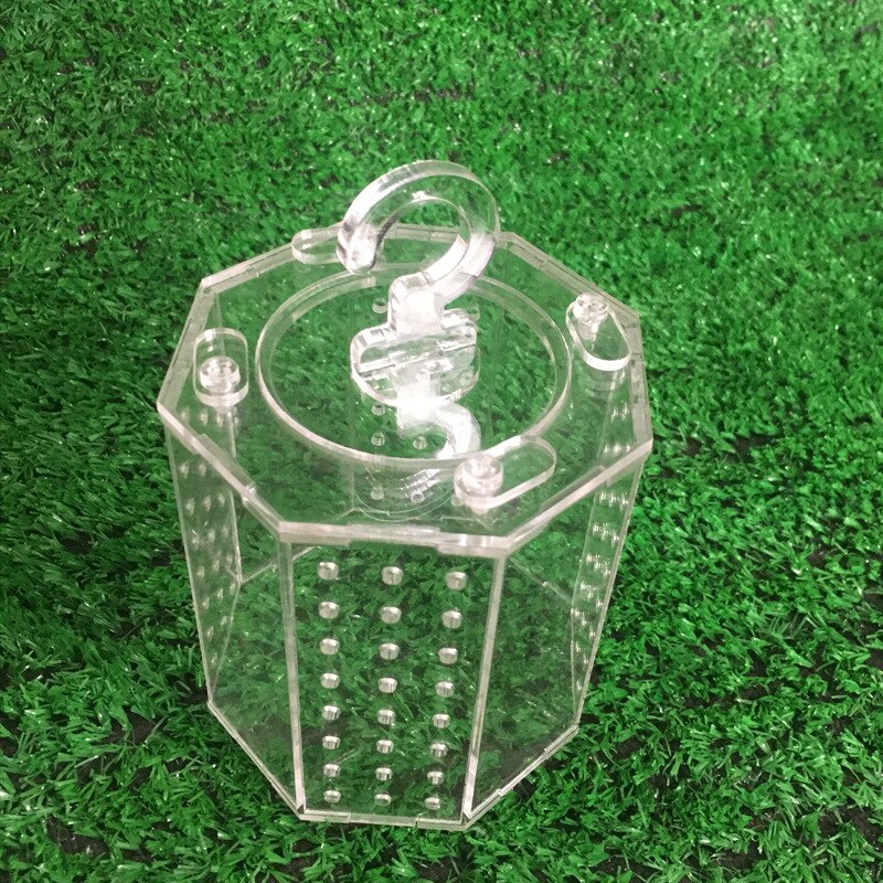 Cage de criquet de sauterelle en acrylique, nid d'insecte pour reptiles