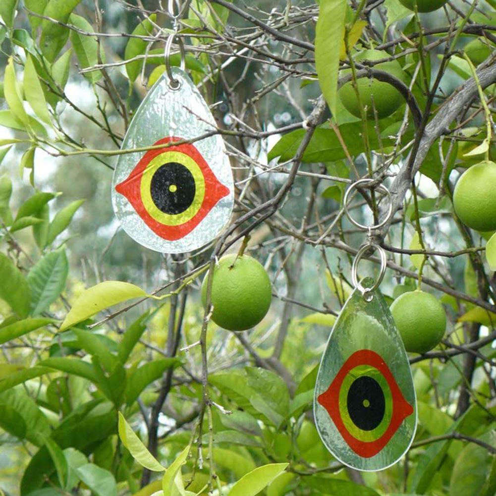 5 Pcs Garden Garden Bird Repellent Eyes Owl Eye Bird Repellent Reflective Bird Repellent Eyes Horror Eyes