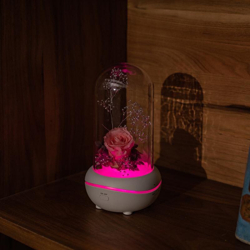 Eloole aromatherapie diffuser usb luchtbevochtiger etherische olie verspreider zonder water voor thuis led-lamp met 5 wattenschijfjes