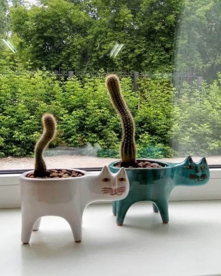 Söt katt svans blomkruka keramisk personlighet kaktus multi-kött enkel dekoration stationära tecknade djur.