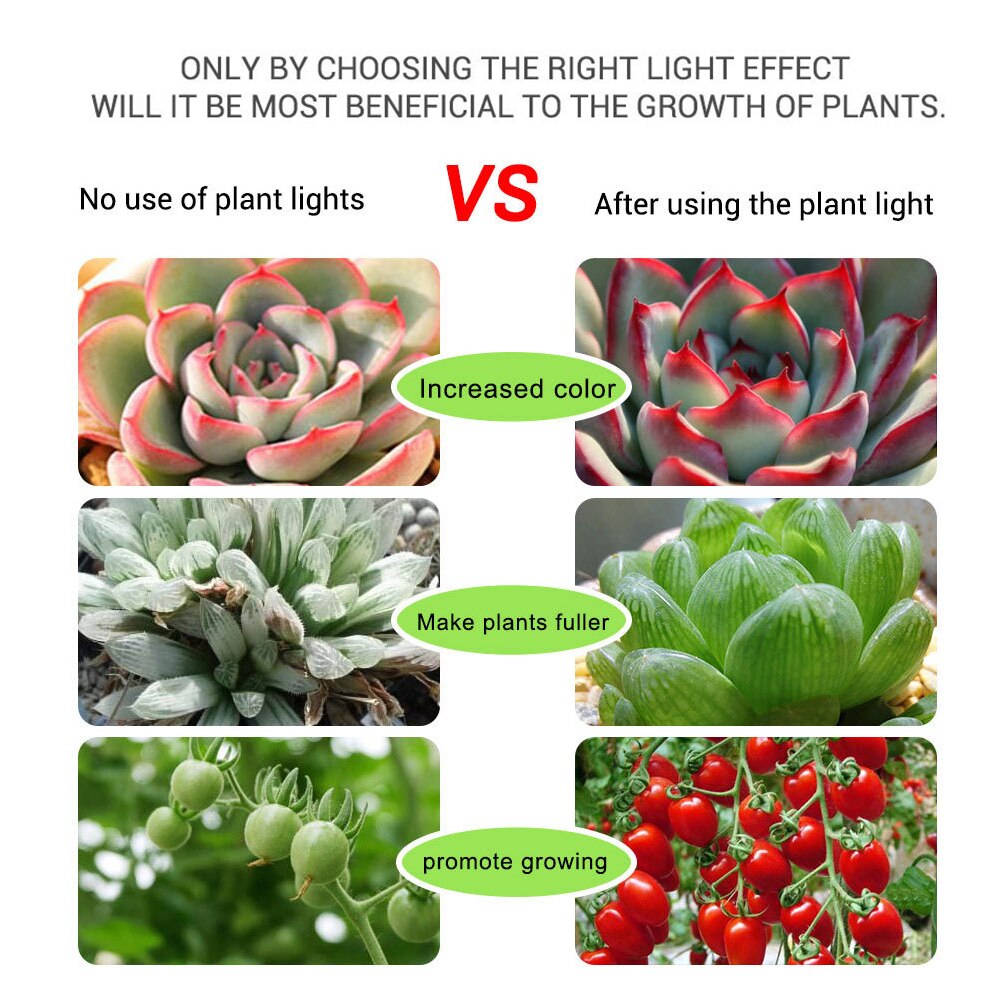 Dc5v usb fullspektre fytolamper lampe ledet phyto teip belysning fleksibel vokse lys stripe vanntett plante pære hydroponic lampe