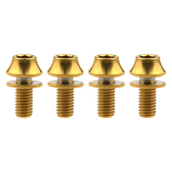 Wanyifa 4 Uds M5x12mm titanio Ti cono bicicleta titular de la botella de tornillo accesorio de ciclismo para la bicicleta sujeción de portabotellas pernos: Gloden