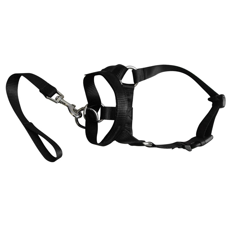 Dog Training Head Collar Dog Mouth Cover Traction Rope No Pull Head Harness Stops Dog Pulling With Head Leash for Dog: black / XL