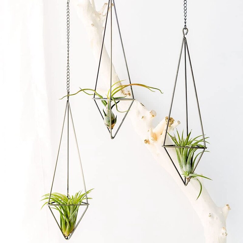 4 pacco Appeso Impianto di aria Supporto per Tillandsia Schermo Geometrica Fioriera con Catene Complementi Arredo Casa per aria Piante, bronzo