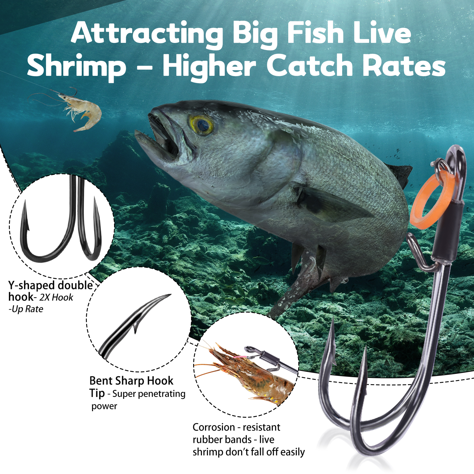 FishTrip-anzuelo doble para pesca de camarones vivos, anzuelos fijos, 10-15 Uds., flotador de pesca, soporte para cebo, anzuelos, Señuelos de Pesca, agua salada y dulce