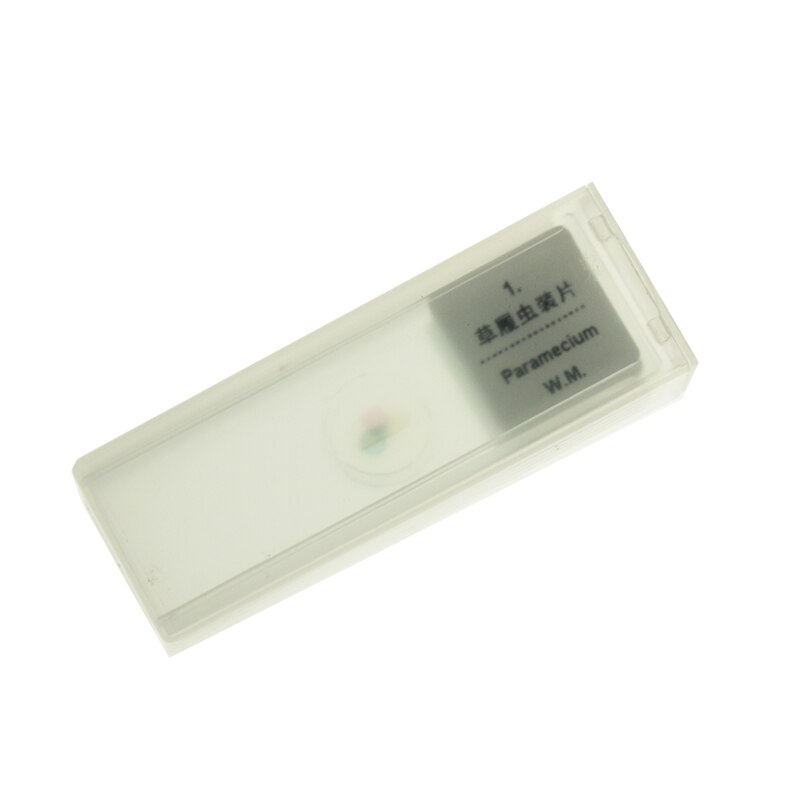 5 Piece Glass Microscope Prepared Slides for Pathology Chemistry Biology Laboratory Equipment Biological sliced