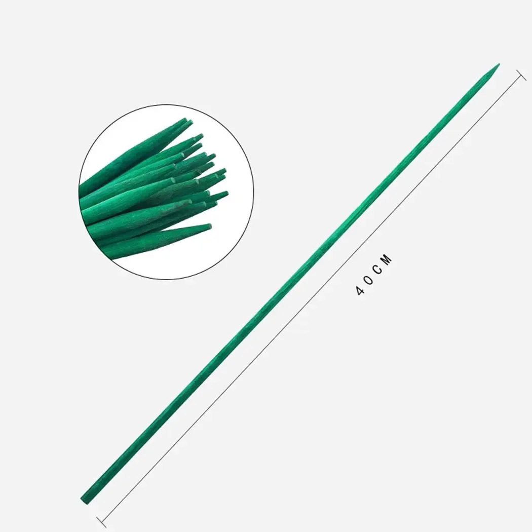Estaca de bambú verde para plantas, 10 piezas, 40cm, palos de madera verdes, estacas de soporte para plantas florales, bastones con puntas, estaca Floral, herramienta de jardinería