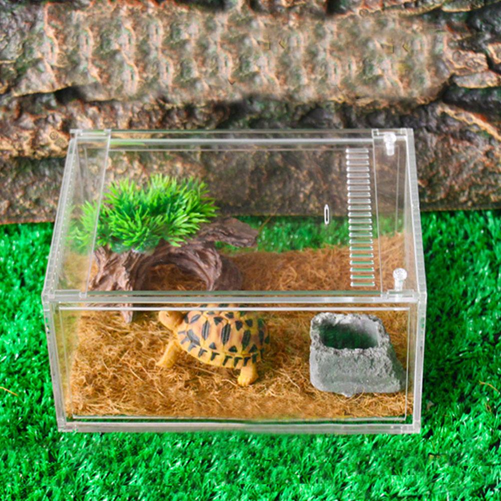 Reptile Tank Insect Spiders Tortoise Lizard Acrylic Transparent Breeding Box Vivarium Lid Reptile Pet Product Terrarium S/L Size