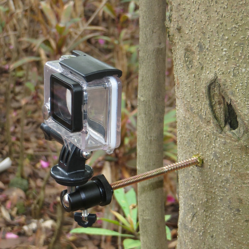 Ruuvattava puinen puukiinnitysteline, jossa 1/4-20 kameran kuulapää + kolmijalan kiinnitys gopro hero pov -toimintakameroihin, metsästyspolkukamera