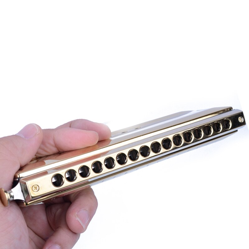 Swan Chromatic Harmonica Senior 1664-3 Serie Golden Harmonica C key Mouth harp Organ Musical Instrument