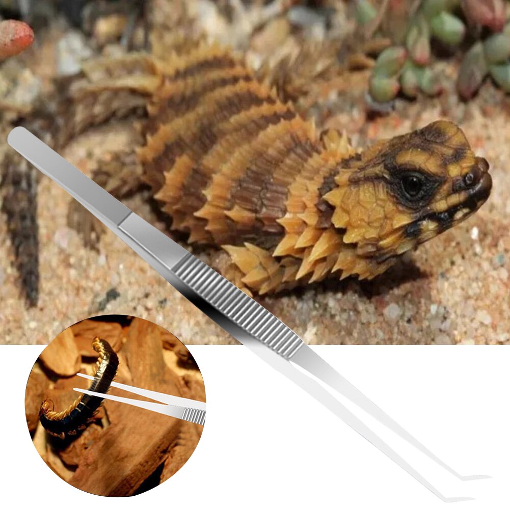 2pcs Reptile Feeding Tweezer Stainless Steel Heavy-duty Home Straight Curved Tip Pet Accessories Non Slip Handheld