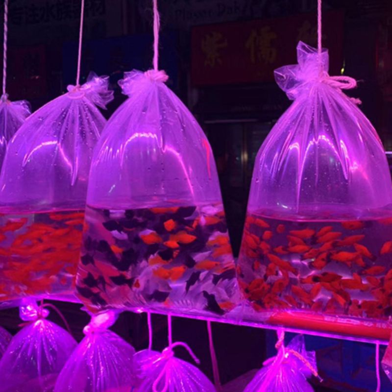 Sacs d'expédition en plastique étanches pour poissons vivants joint Double fond Transparent pour le stockage d'eau douce et d'eau salée