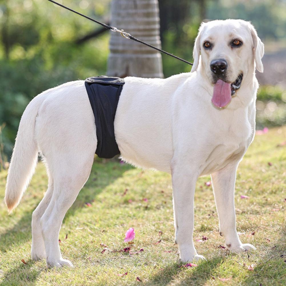Dogs Diapers Anti-Harassment Fastener Tape Pet Diapers Pants Solid Color Dogs Diapers Wraps for Home Use Puppy Pants