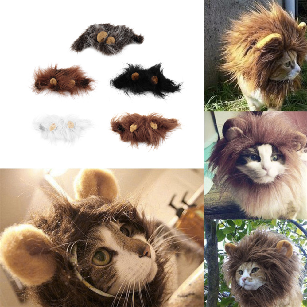 Animal de compagnie chat chien émulation Lion cheveux crinière oreilles tête chapeau automne hiver habiller Costume silencieux écharpe