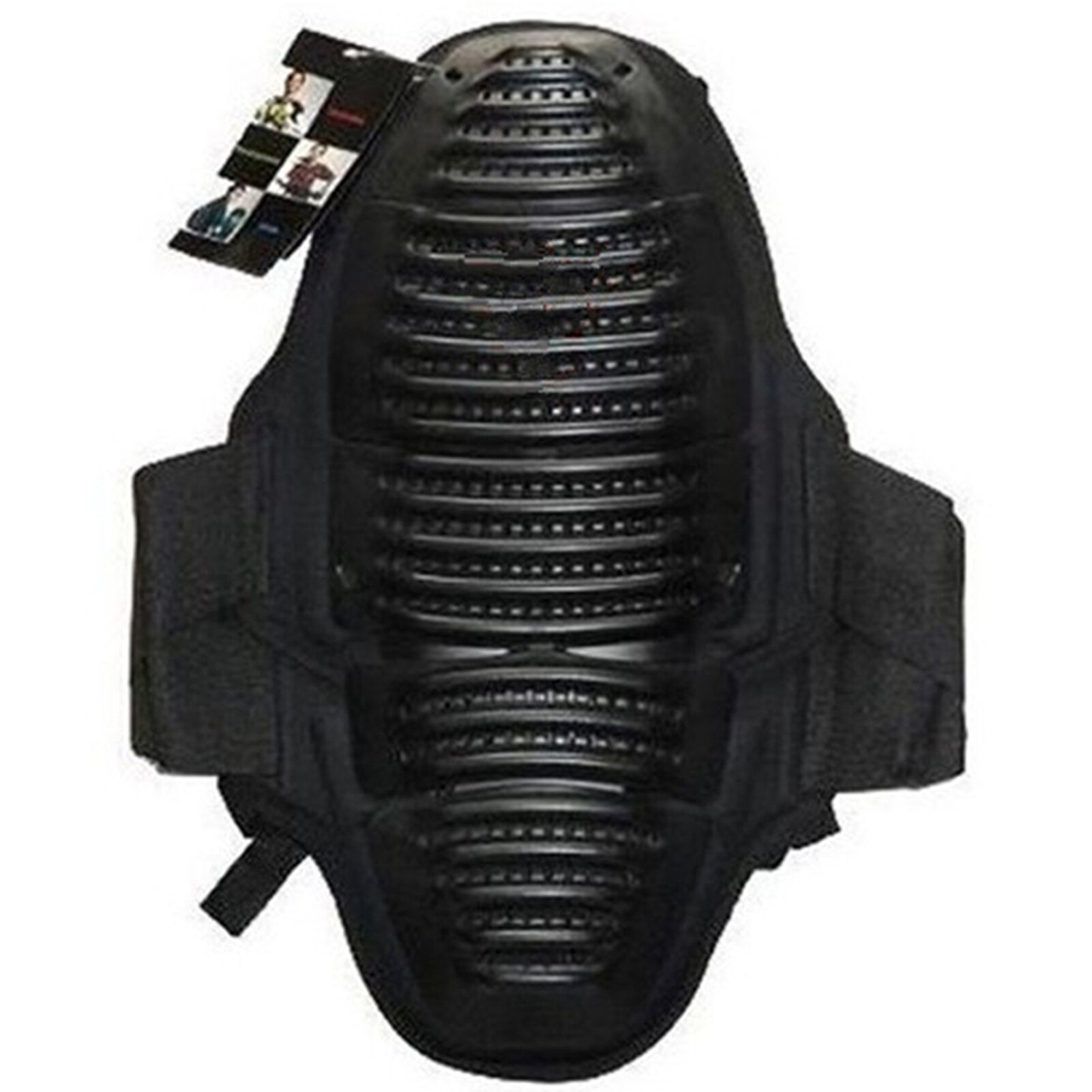 Moto chevalier dos protecteur EVA armure équipement d'équitation Sports extrêmes Protection sûr respirant détachable: Black